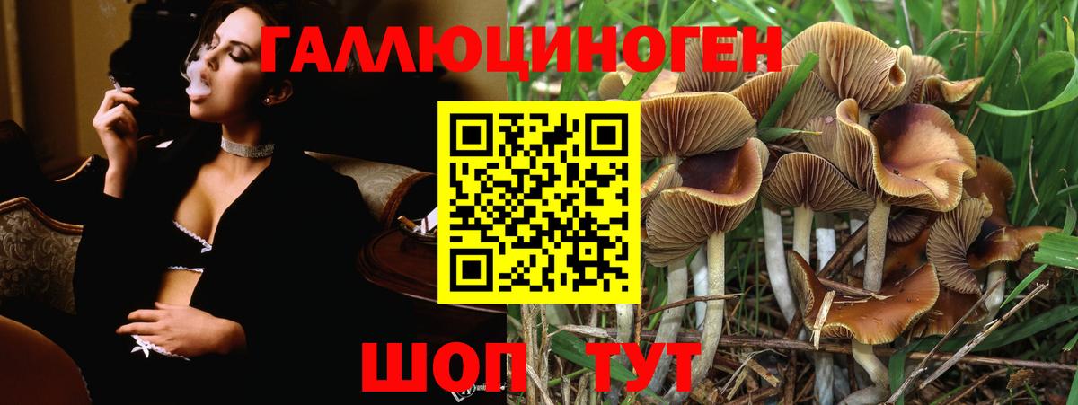 Галлюциногенные грибы мицелий  наркотики  Елизово  Вход с VPN  Псилоцибиновые грибы мухоморы 